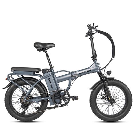 Rattan 750w Electric Bike